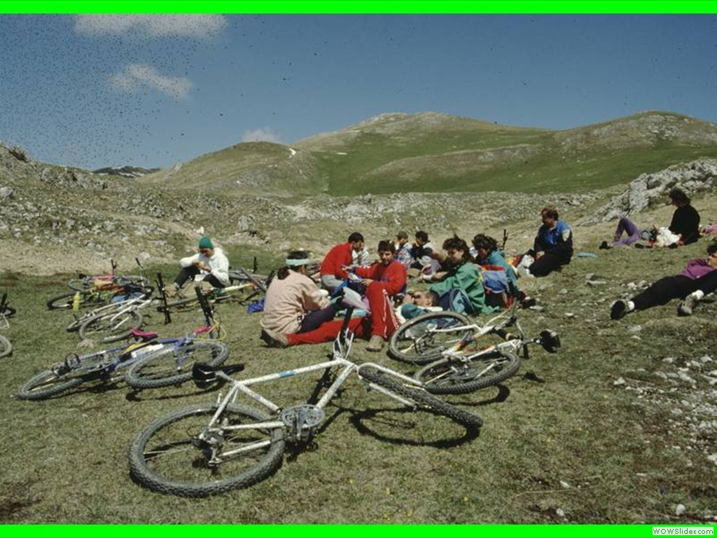 aleggia0010