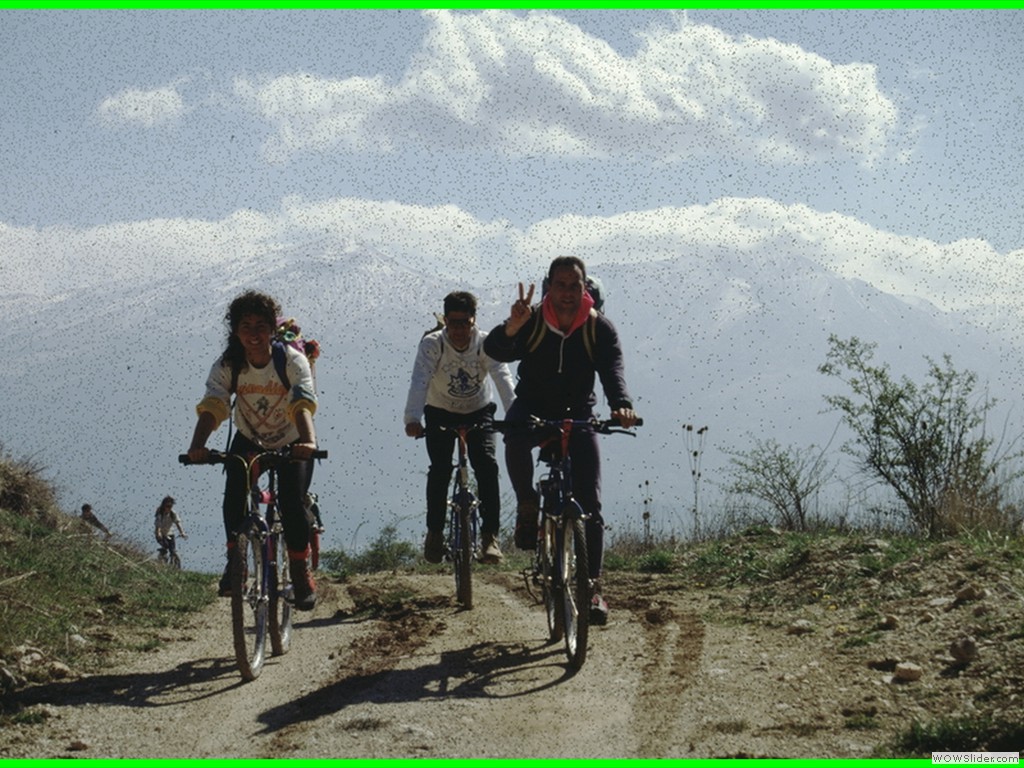 aleggia 01-05-900002