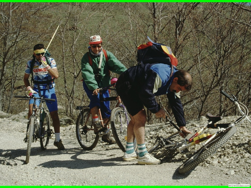 aleggia 01-05-900003