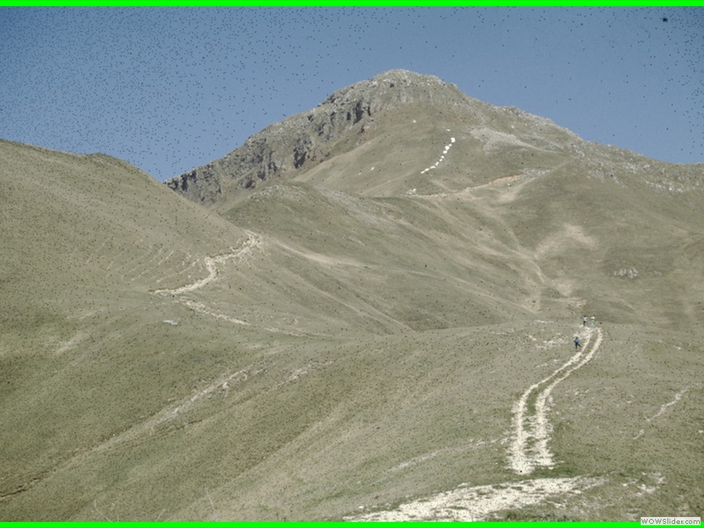 aleggia 01-05-900006