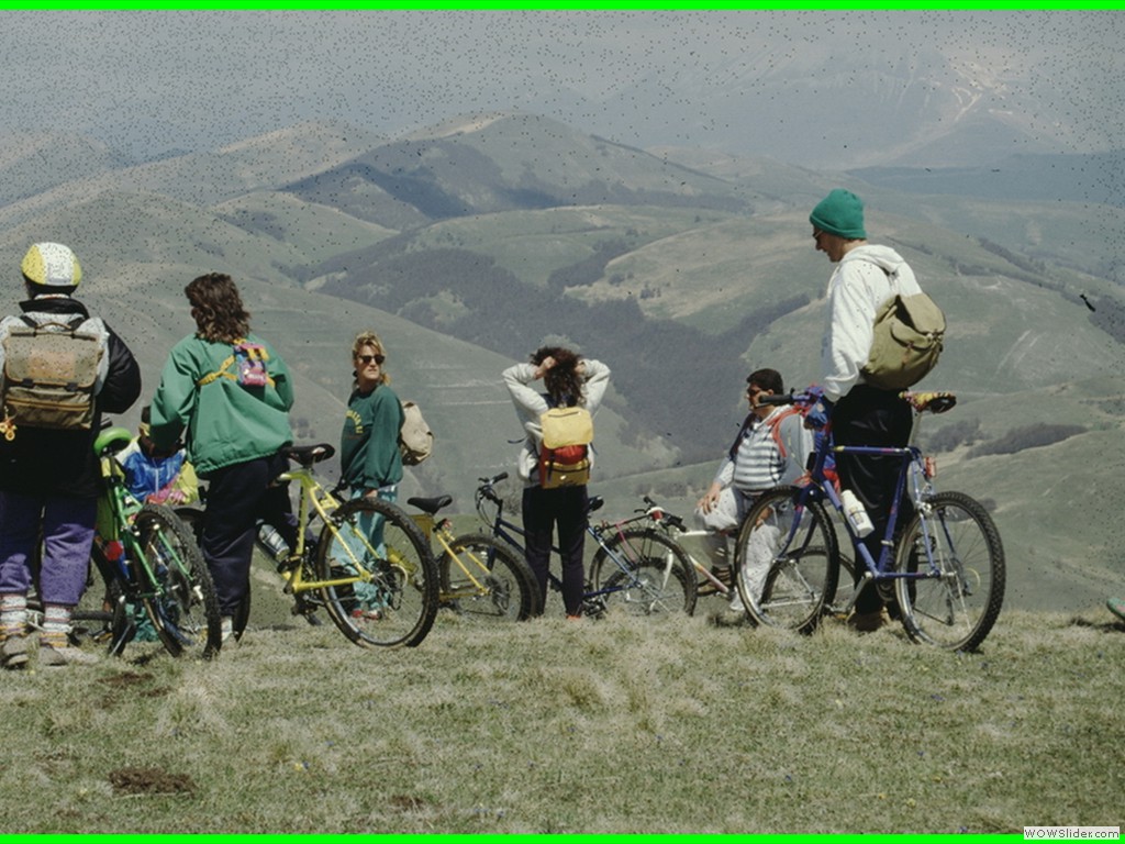 aleggia 01-05-900021