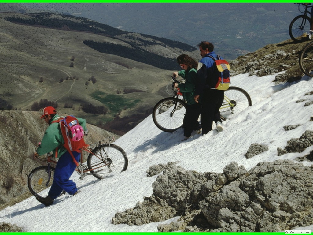 aleggia 01-05-900024