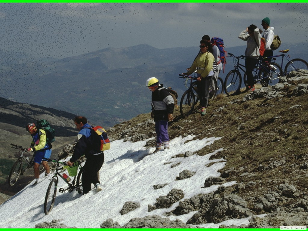 aleggia 01-05-900025