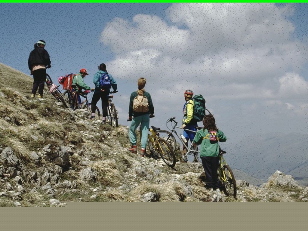 aleggia 01-05-900027