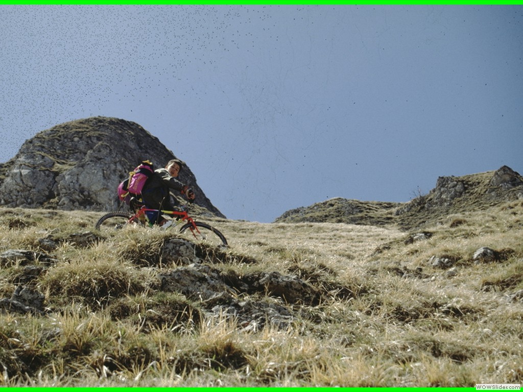 aleggia 01-05-900028