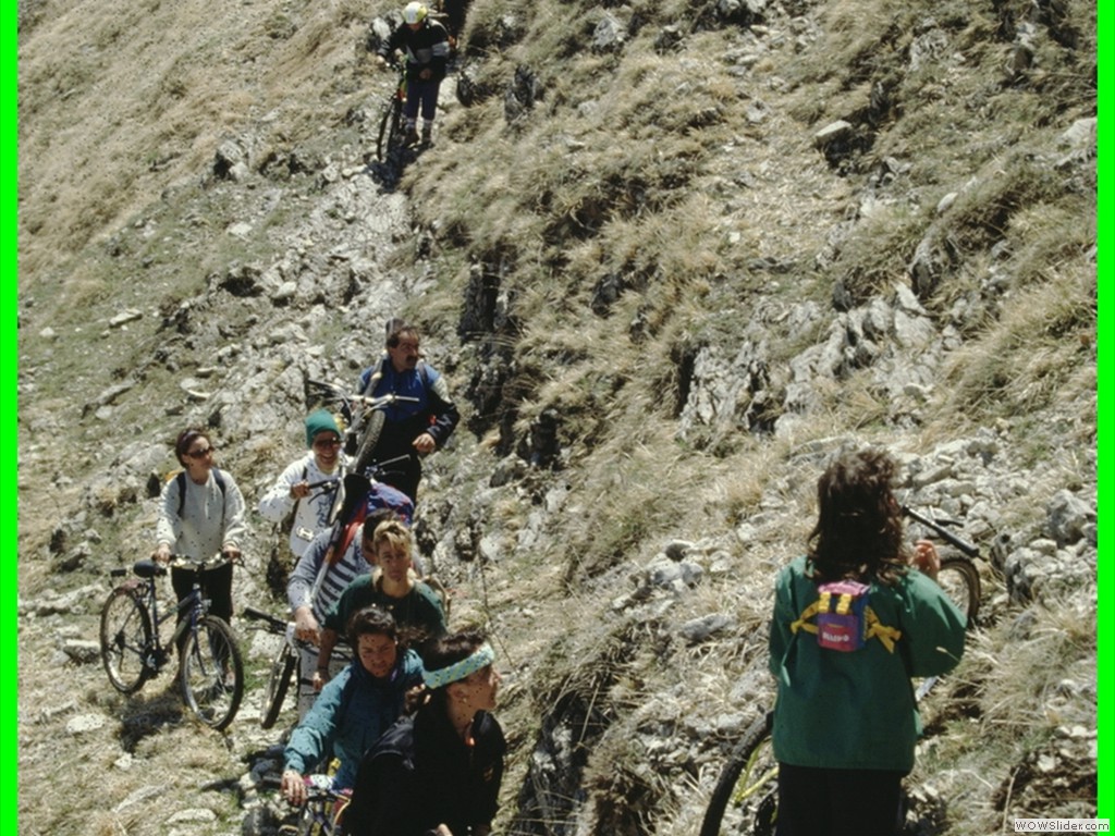 aleggia 01-05-900029