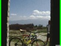 aleggia0005