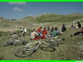 aleggia0010