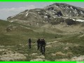 aleggia0013