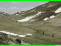 aleggia0015