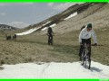 aleggia0017