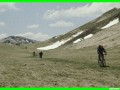 aleggia0018