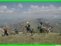 aleggia0020