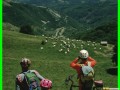aleggia0023