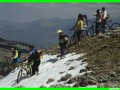 aleggia0025