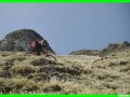 aleggia0028