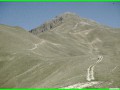 aleggia 01-05-900006