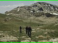 aleggia 01-05-900013