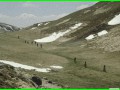 aleggia 01-05-900015