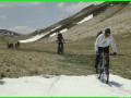 aleggia 01-05-900017