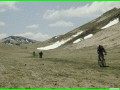 aleggia 01-05-900018