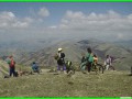 aleggia 01-05-900020