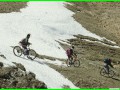 aleggia 01-05-900022