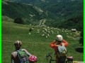 aleggia 01-05-900023