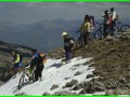 aleggia 01-05-900025